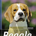 Ergebnis abrufen Beagle: Auswahl, Haltung, Erziehung, Beschäftigung (Praxiswissen Hund) Bücher