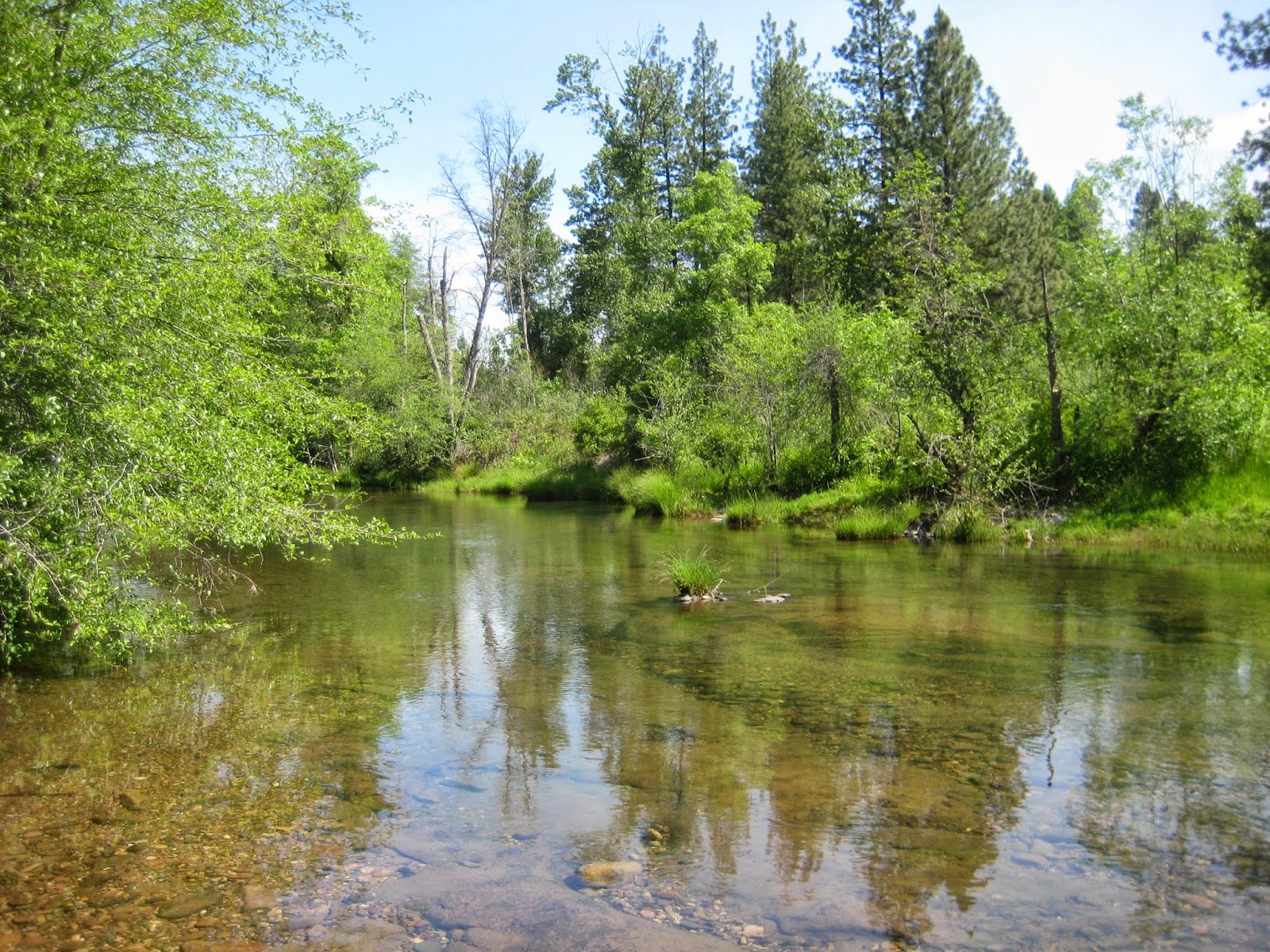 Glenn & Carol's Hiking Adventures Elk Creek Trail