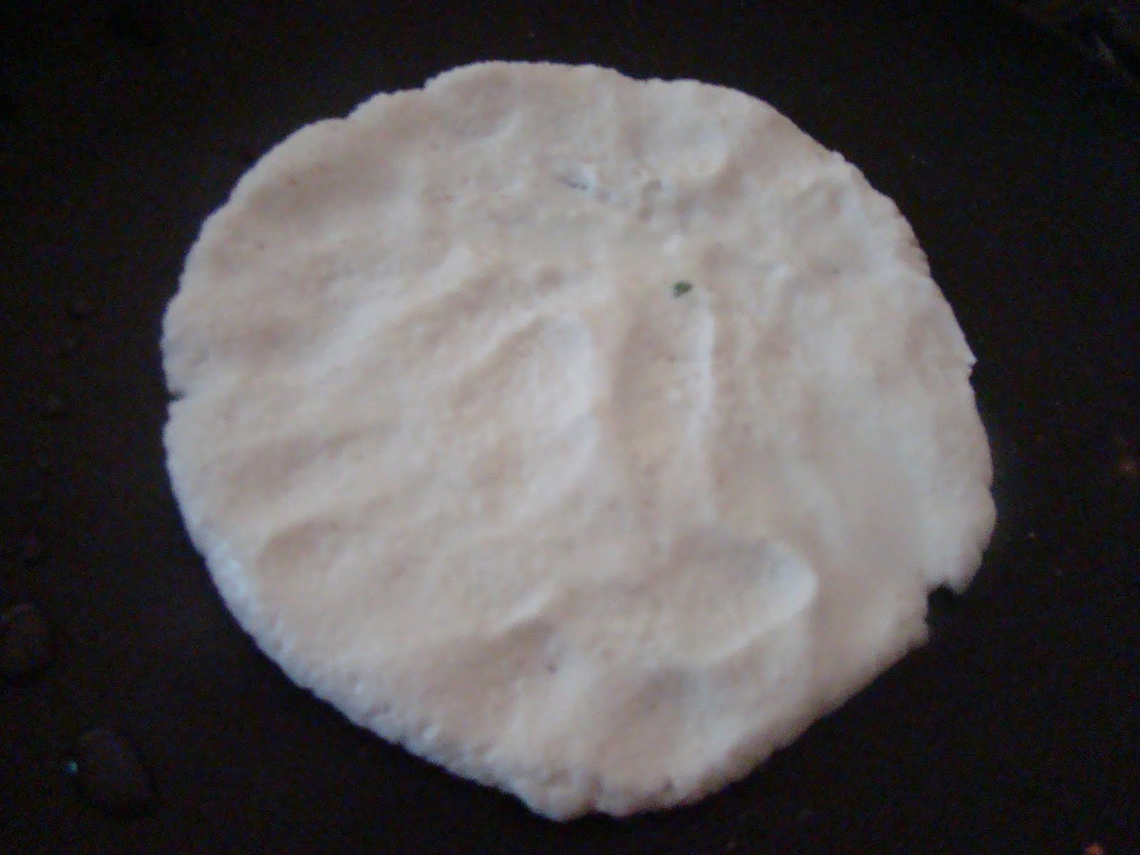 My Favorite Recipes Collection: Rice Roti