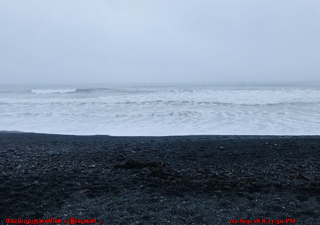 Rialto Beach Olympic Peninsula Washington