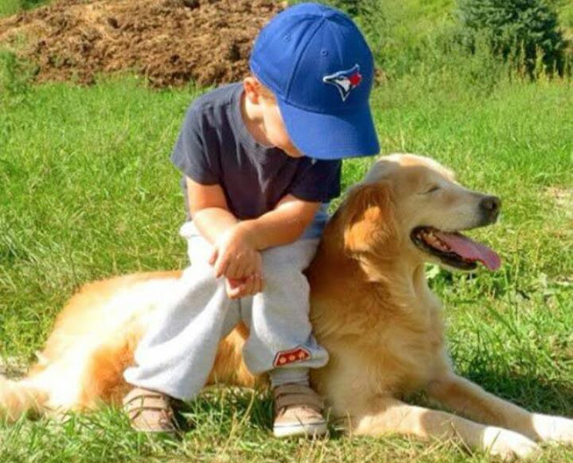 علاج التوحد بالاستعانة بالكلاب علاج التوحد بالاستعانة بالكلاب