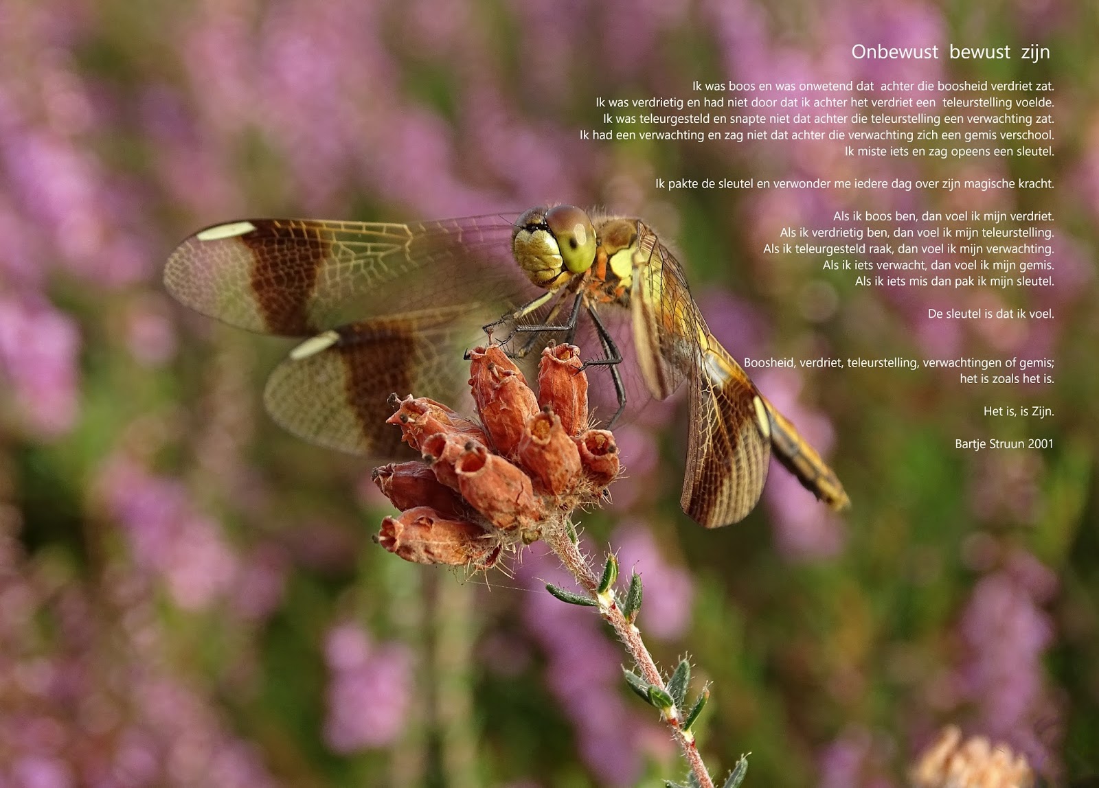 Gedachten En Gedichten