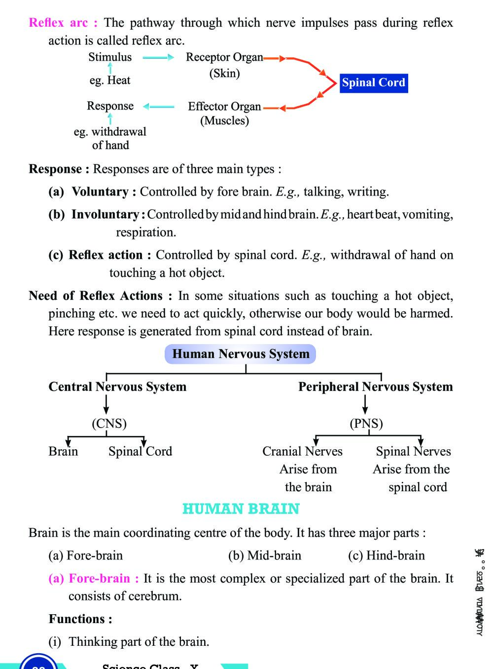 Control and coordination class 10 Notes by Hasan HJ STUDY (Hasan Jawed)