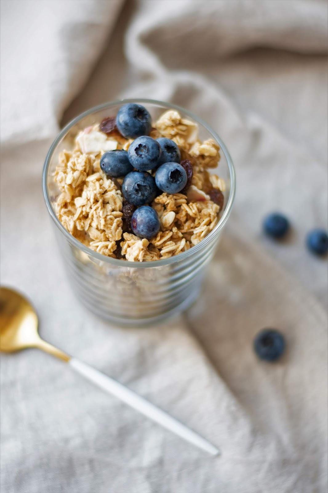 CINNAMON RAISIN PALEO GRANOLA FOOD STYLE