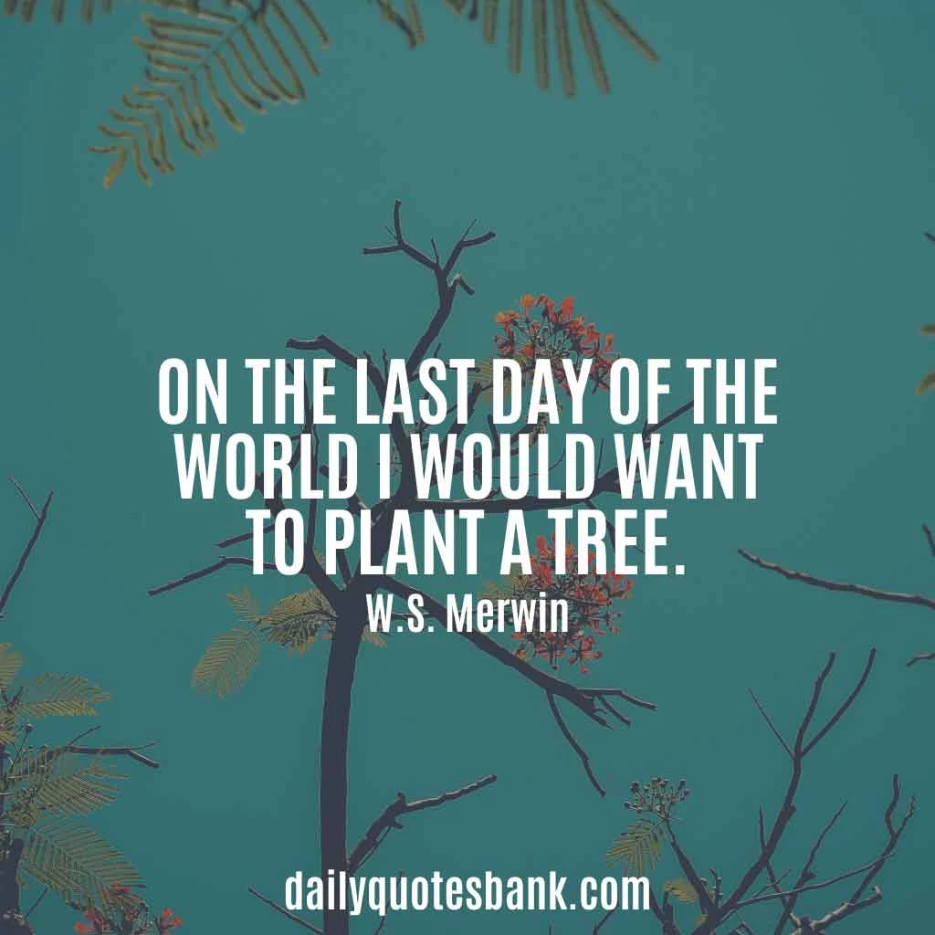 Inspirational Quotes About Planting Trees For Future Generations