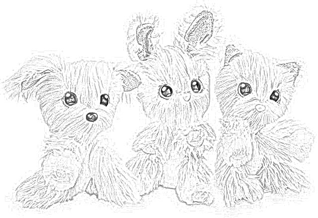 The Holiday Site Scruff A Luvs Coloring Pages Downloadable