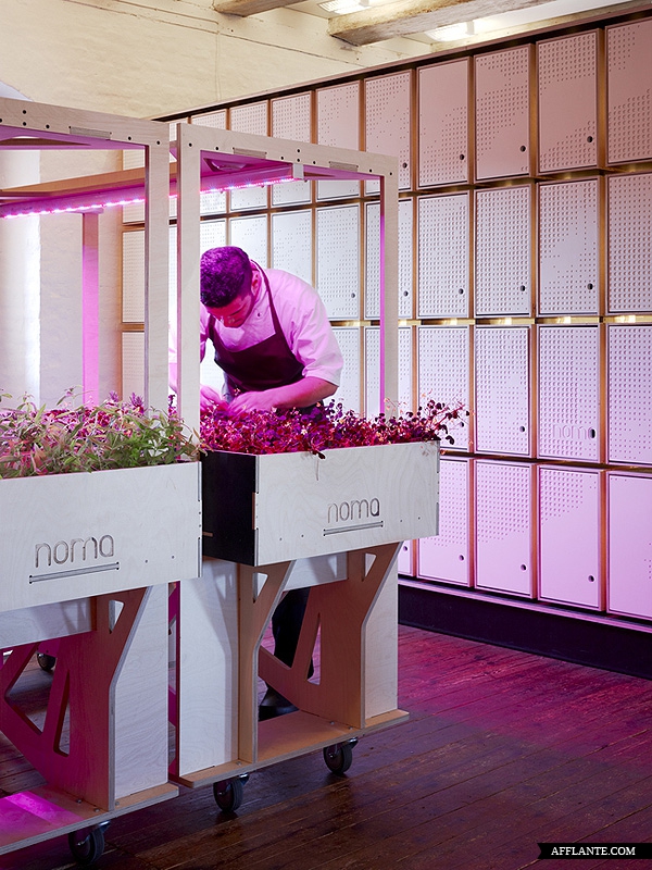 Pro Inspiration Board WindowDisplay Inspiration Indoor herb garden