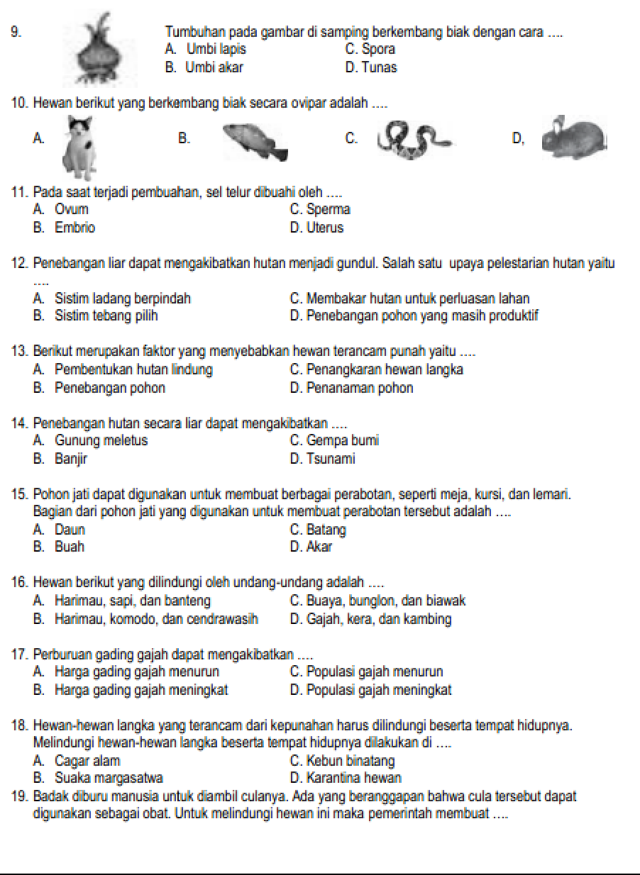 Soal Uas Ipa Kelas 8 Semester 2 Dan Kunci Jawaban