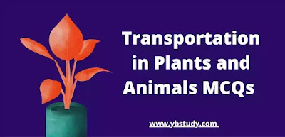 Transportation in plants and Animals MCQs Mcq on Transportation in Plants and Animals Class 10