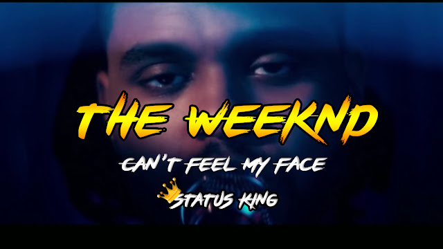 The Weeknd Can T Feel My Face Whatsapp Status Download