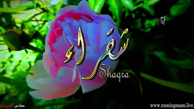 معنى اسم, شقراء, وصفات, حاملة, هذا الاسم, Shaqra,
