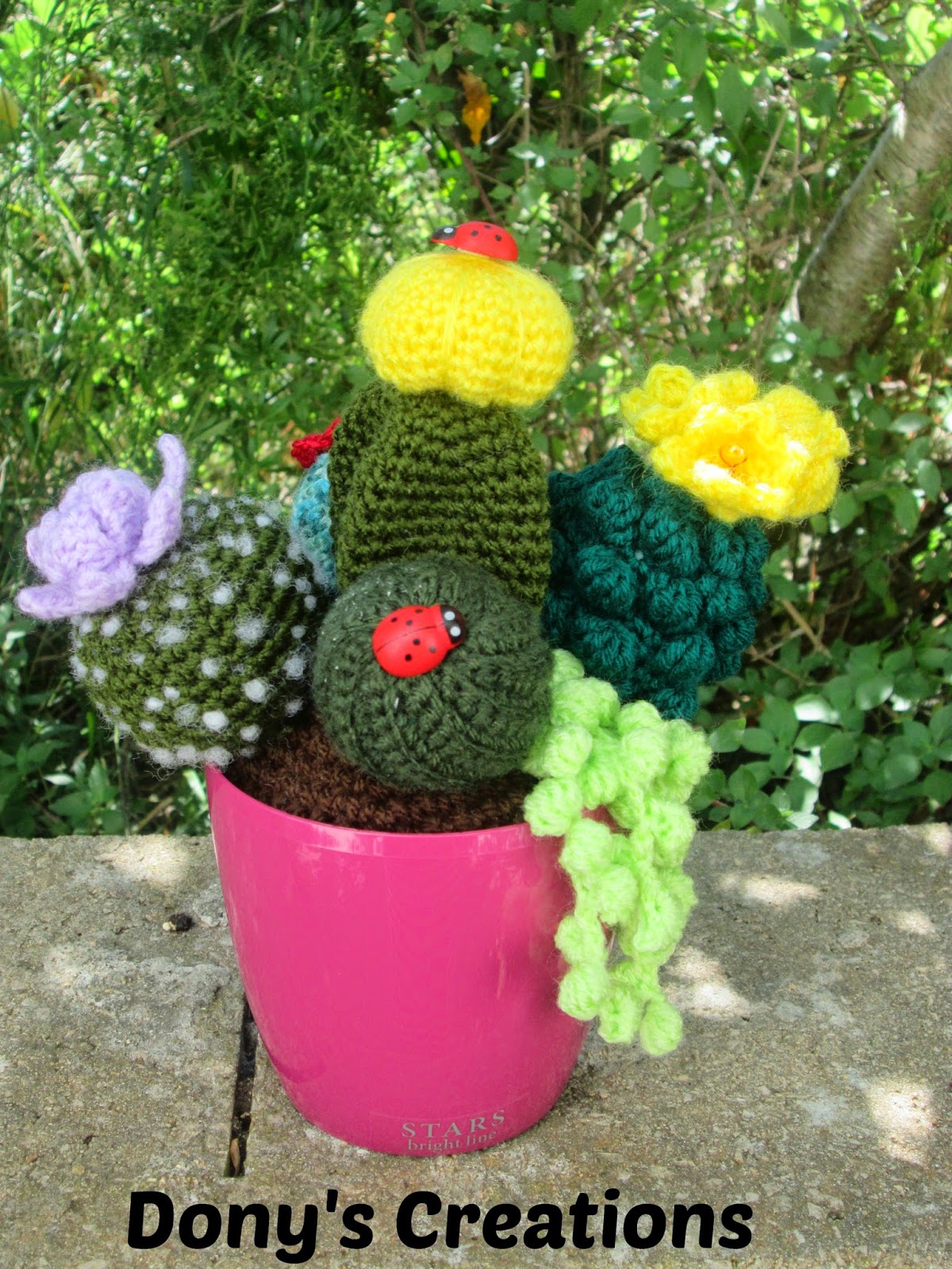 Dony's Creations: Composizione piante grasse _ pattern free italiano