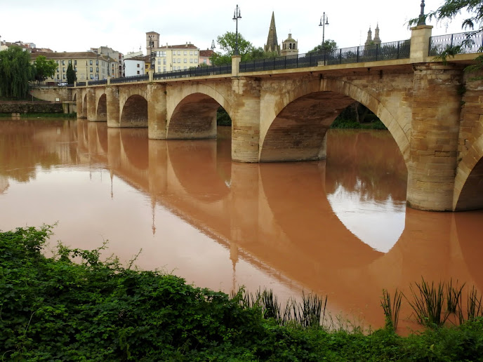 Viajes naturalistas y otras hierbas: El Ebro amazónico