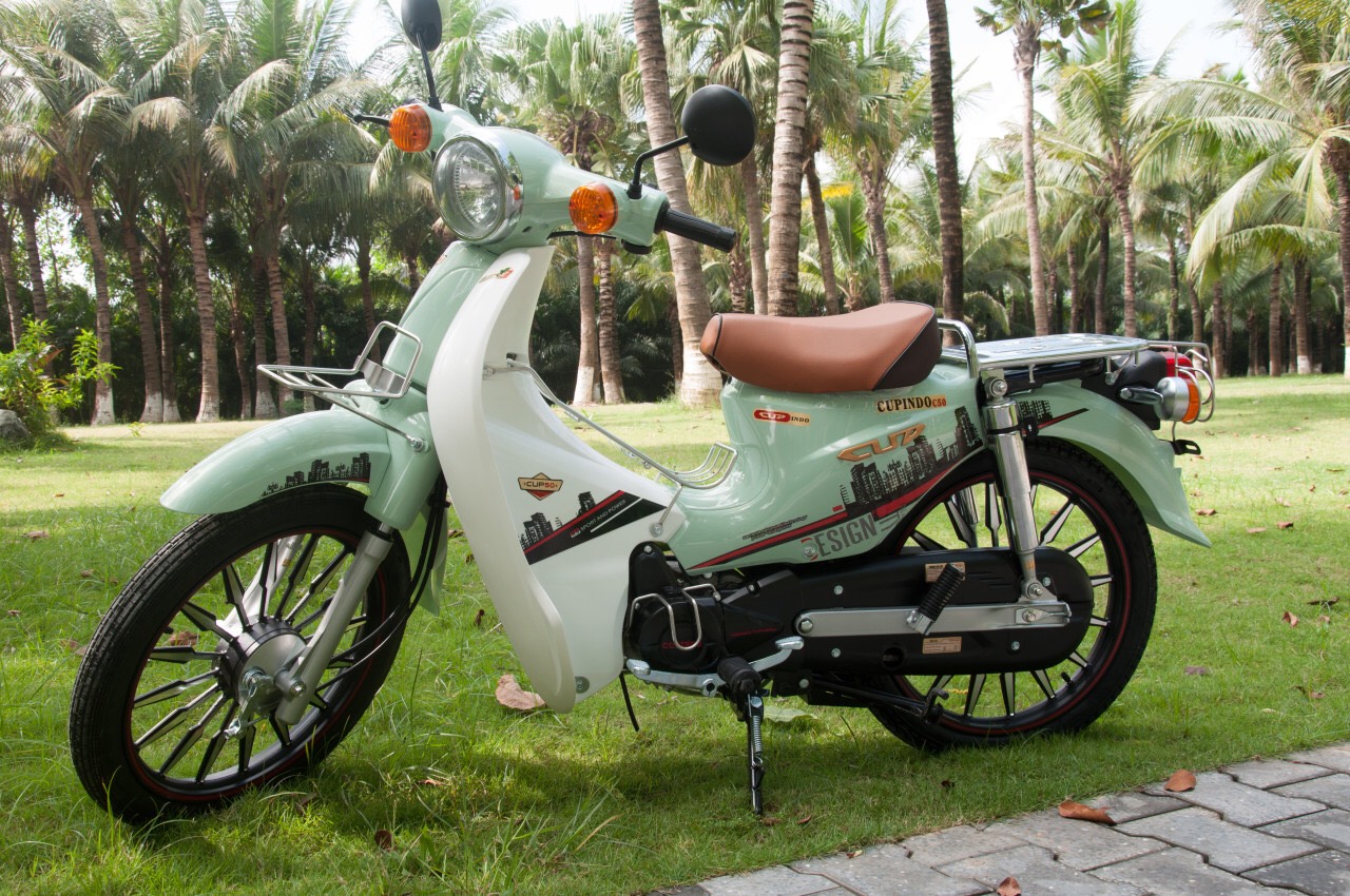 Xe đạp điện chính hãng: Các dòng xe máy 50cc dành cho giới trẻ 2019