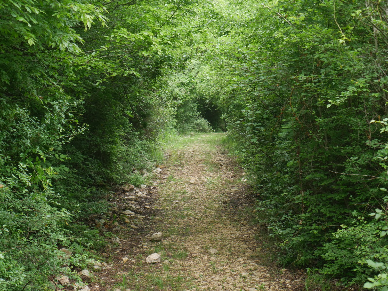 Walking the Battlefields Walking the Cavendish Road at Monte Cassino
