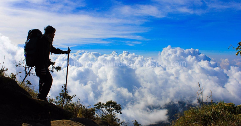 99 Arti Mimpi Naik Gunung Tapi Tidak Sampai Atau Turun Lagi Menurut Primbon Jawa Dan Tafsir Islam Mimpi Gunung 99 Arti Mimpi Naik Gunung Tapi Tidak Sampai Atau Turun Lagi Menurut Primbon Jawa Dan Tafsir Islam Mimpi Gunung