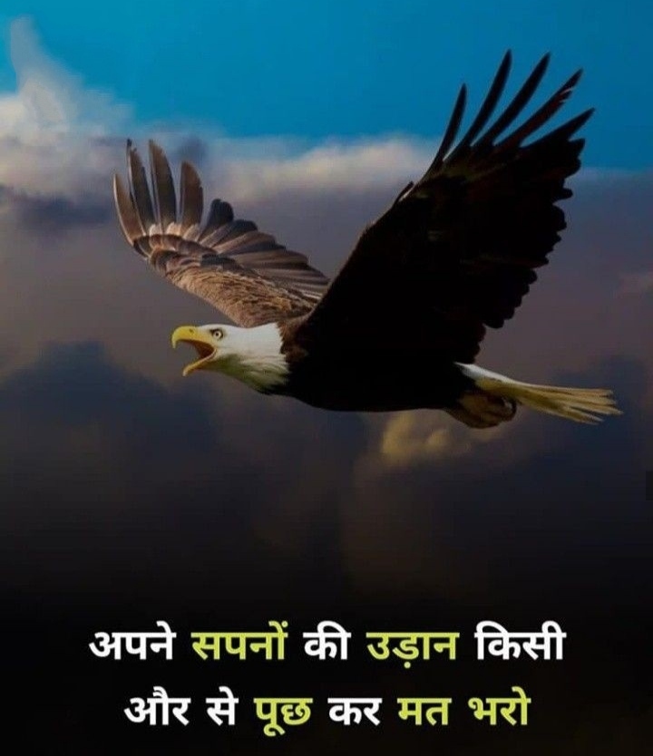 hindi essay eagle