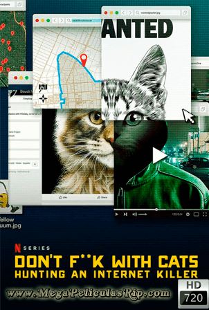 A Los Gatos Ni Tocarlos Un Asesino En Internet Temporada 1 720p Latino