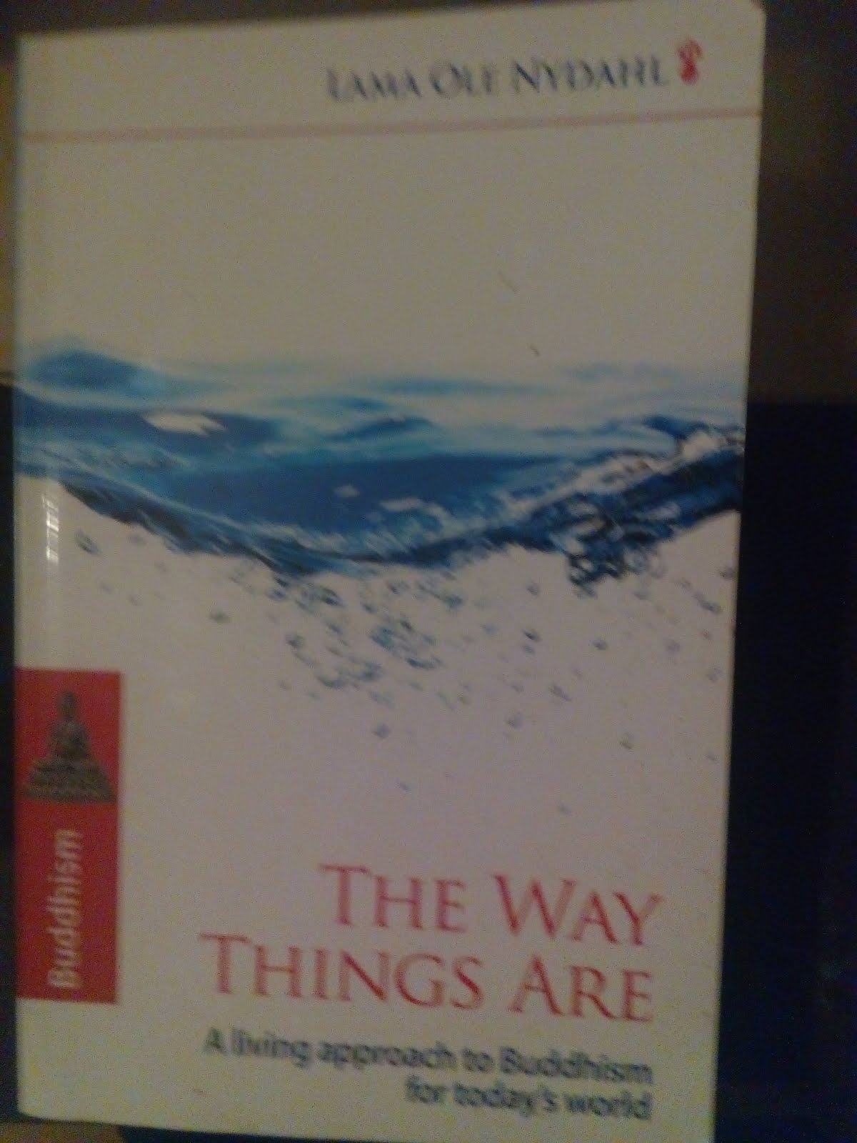 'The Way Things Are' by Lama Ole Nydahl.