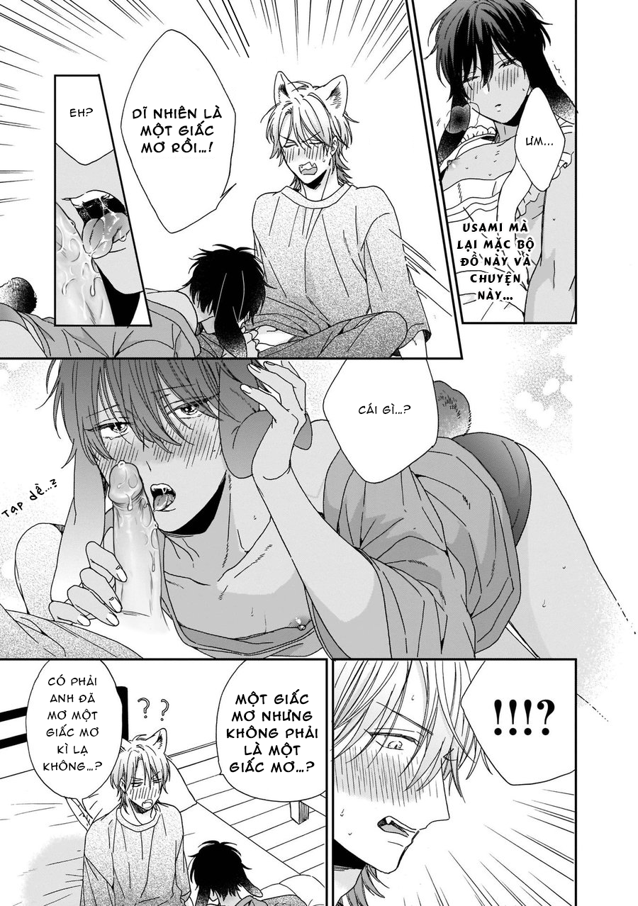 Đọc truyện Ookami-kun sẽ không buông tay! - Chapter 5