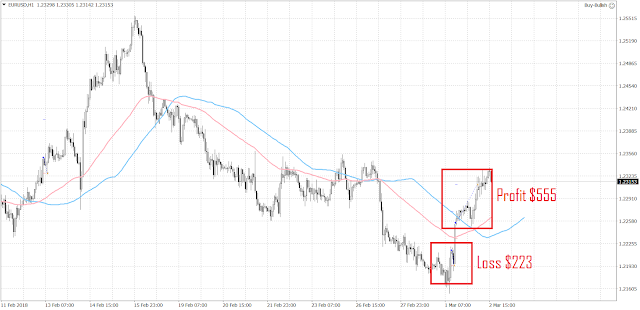 10264 The euro bounced back from its recent low of 1.2154.