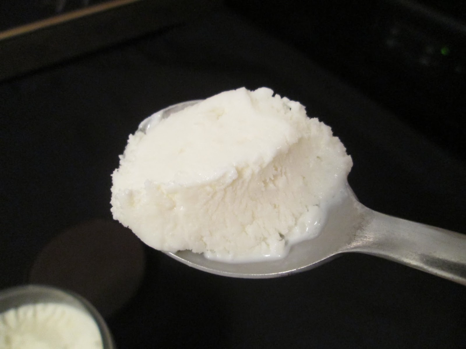 David's Ice Cream Reviews Talenti Caribbean Coconut