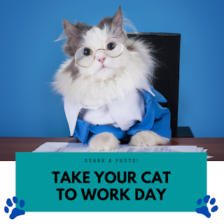 National Take Your Cat to Work Day HD Pictures, Wallpapers