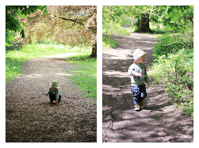 toddler in the forest
