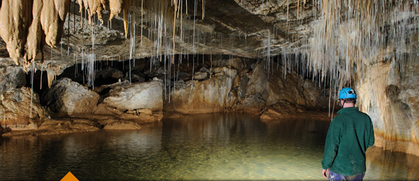 Las Cuevas de Waitomo en Nueva Zelanda