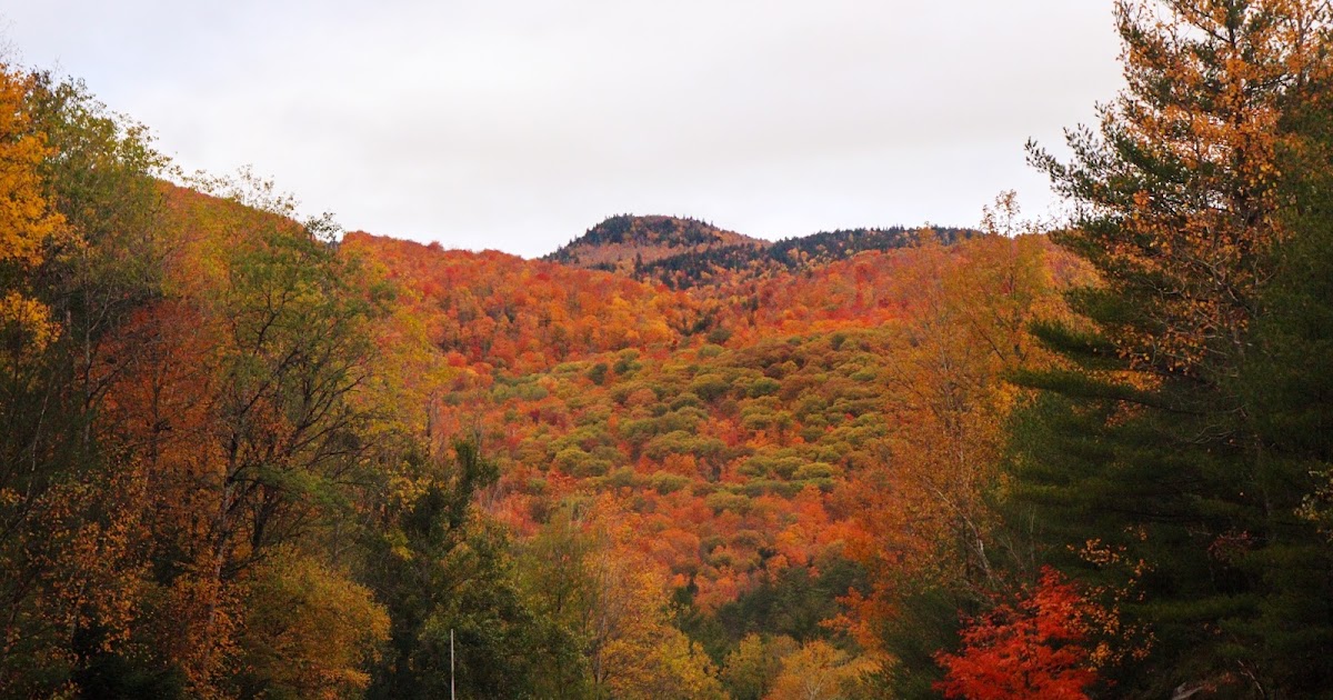 Fall in Adirondacks