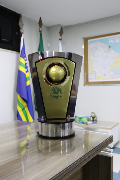 FOTO: Copa SC terá troféus em homenagem a Rafael Henzel, copa santa  catarina