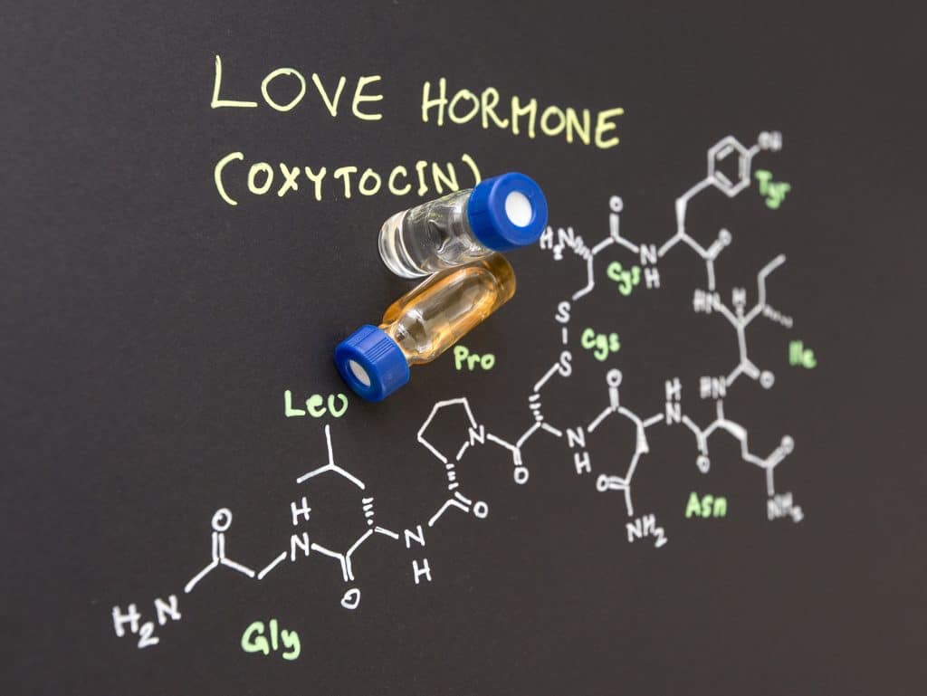 какие гормоны отвечают за любовь. стероидные гормоны коры надпочечников. гормоны щитовидной железы и паращитовидных желез. окситоцин гормон любви. обнимашки окситоцин.