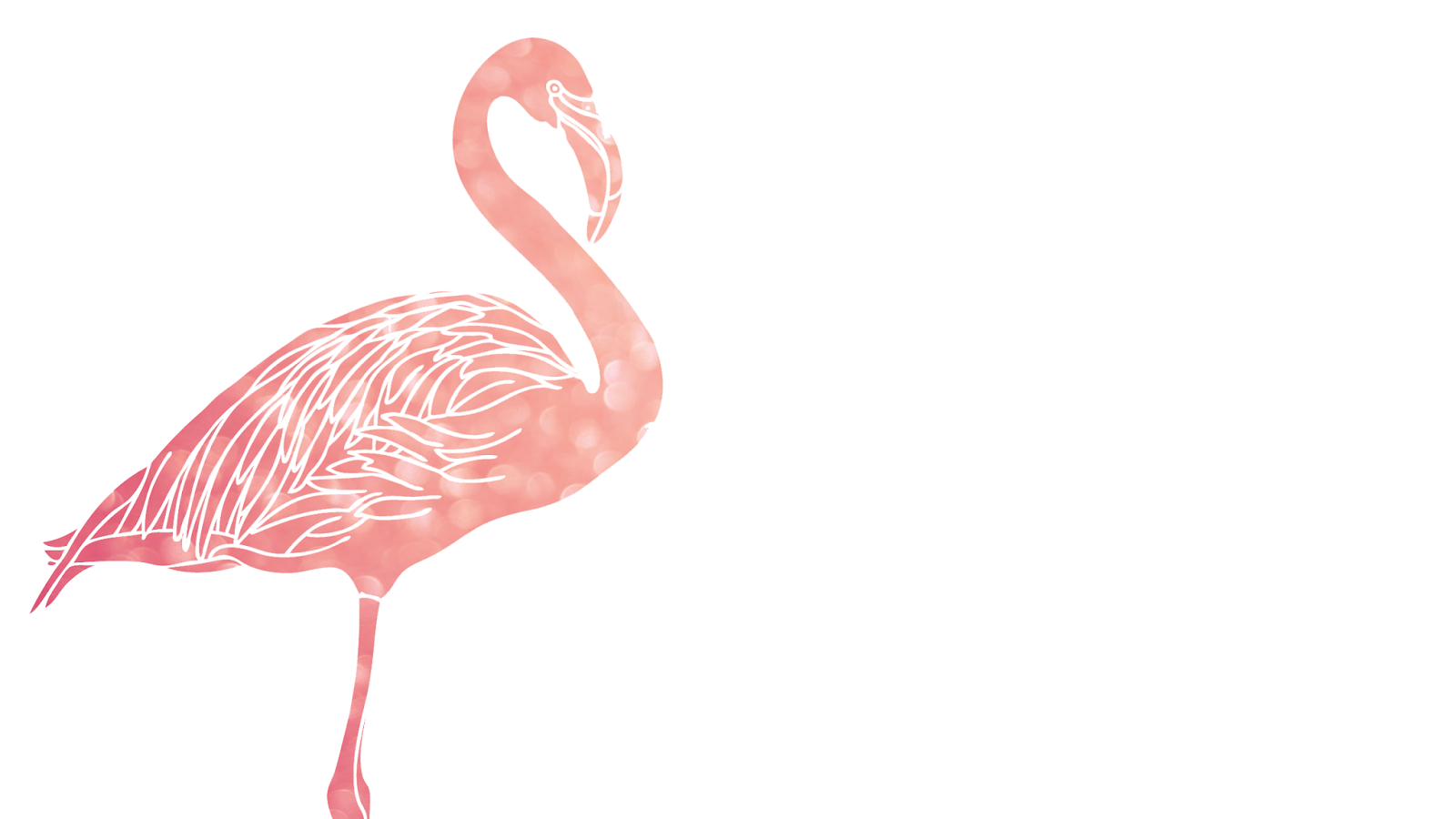 Flamingo Wallpaper 54 images