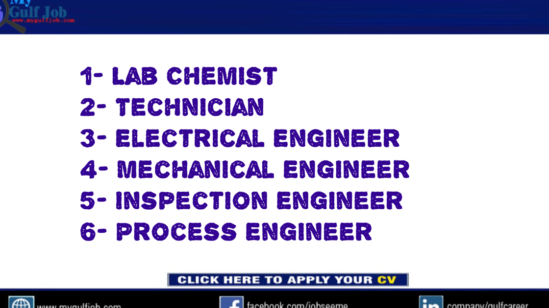 1 Lab Chemist 2 Technician 3 Electrical Engineer 4 Mechanical