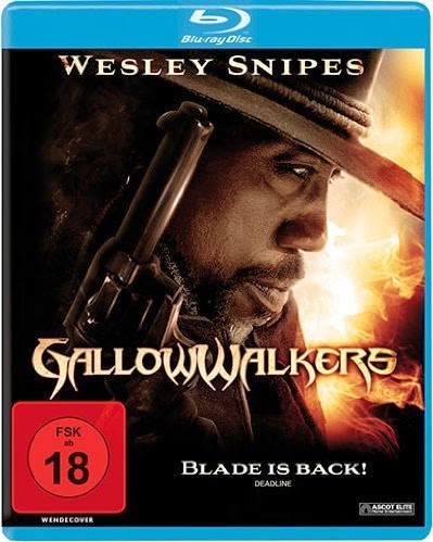 Gallowwalkers 2012 Dual Audio [Hindi Eng] BRRip 480p 300mb