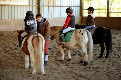 Animal, Horse, Children, Ride, Orgeres, France, Pony, Value-Added Tax, Economy, French Equestrian, Small Horse, Plummets