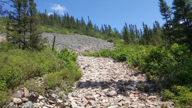 Sentier en direction du Hog's Back