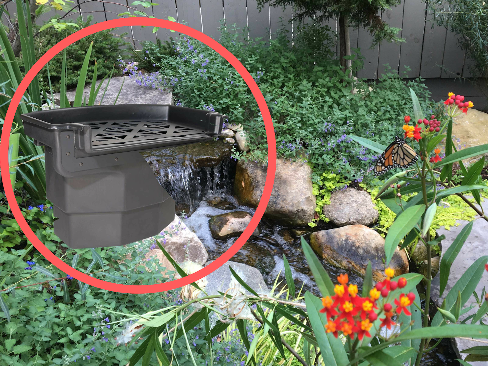 The Biological Waterfalls