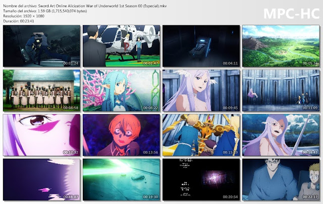 Sword Art Online Alicization WoU 1st Season Reflection ()