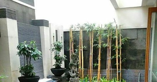 √10++ Galeri foto taman kering dalam rumah (indoor ...