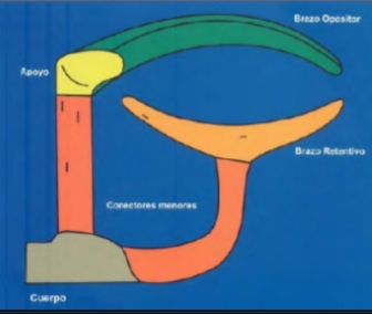 Prótesis Parcial Removible (PPR)