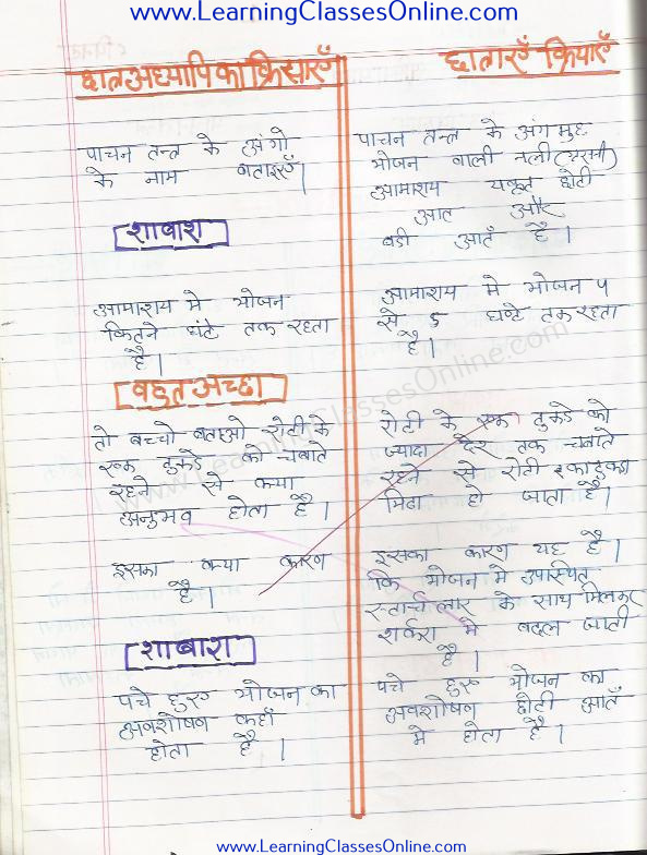 class 6 home science lesson plan in hindi on pachan tantra prashan koshal suskham shikshan path yojna grah vigyan kaksha 6
