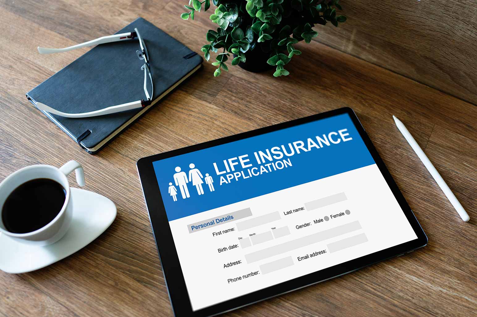 Life Insurance Policy Application