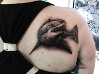 designs Tattoo shark 8