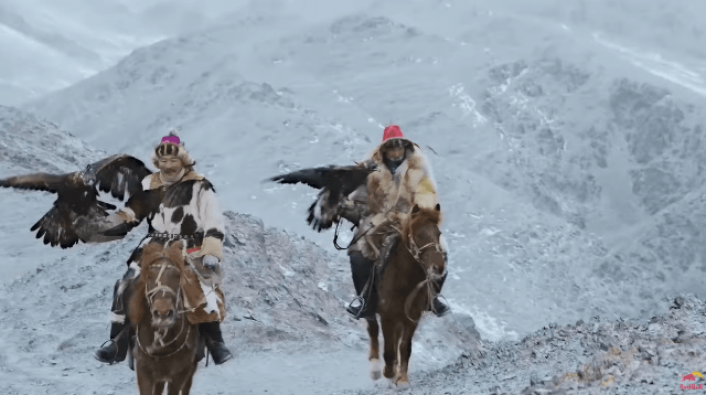 길들인 독수리로 사냥하는 몽골인 - 꾸르