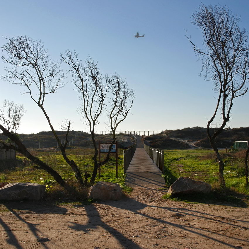 Avião Acesso ao passadiço com árvores nuas dos lados com as sombras projectadas no chão. Ambiente em contra-luz. Um avião no céu limpo