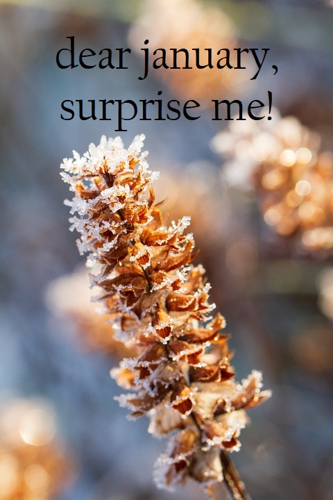 Dear January, Surprise Me