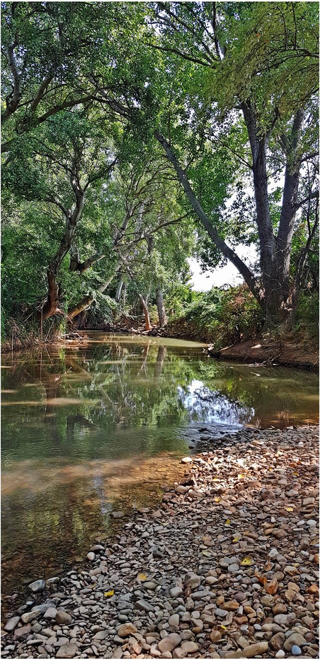 Foto de Jardín botánico de Épila en Épila, Zaragoza