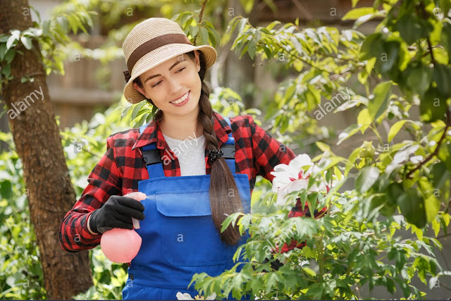 Tugas Dan Tanggung Jawab Gardener Di Hotel Bakul Soal