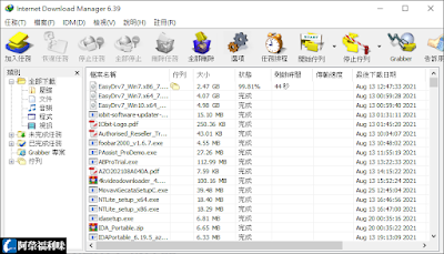 Internet Download Manager (IDM)